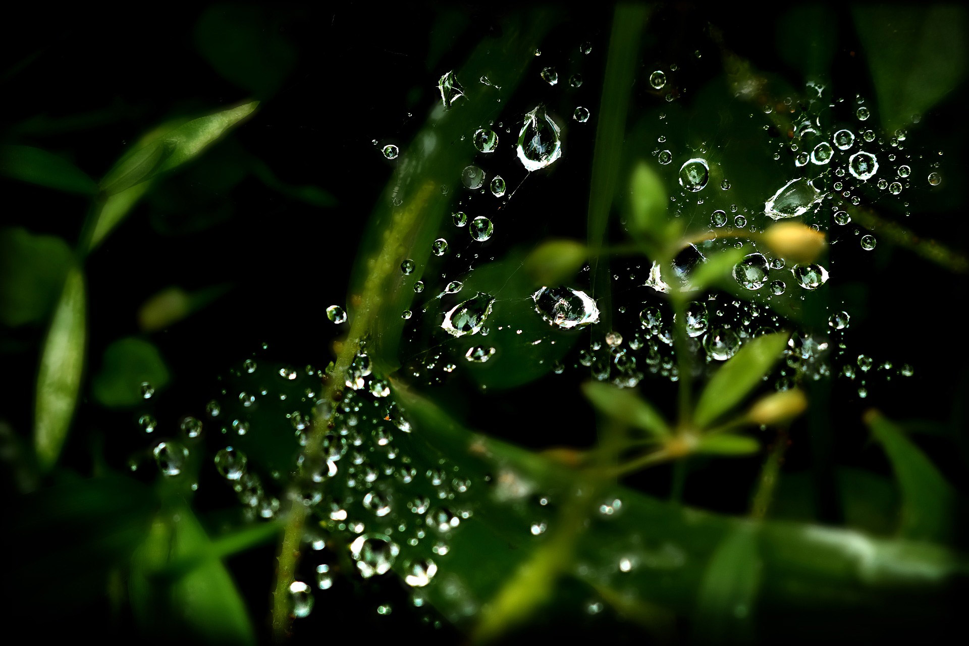 regenwasser-sammeln-zisterne regenwasser-sammeln-zisterne