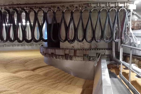 A large industrial malting floor filled with grain features an overhead track system with suspended vertical hanging straps.